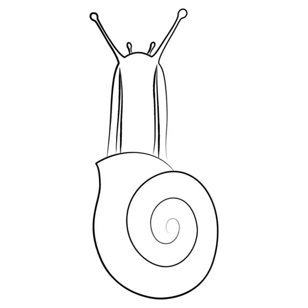 stock vector Brush-drawn insect single icon snail