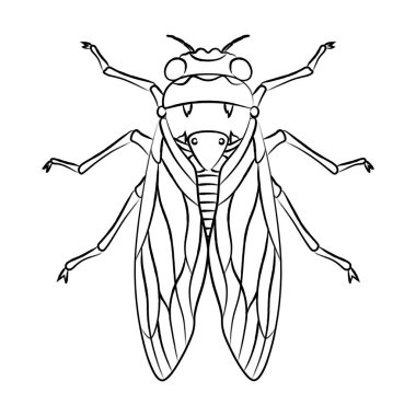 Fırçayla çizilmiş böcek tek simgesi ağustos böceği