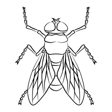 Fırça ile yazılmış böcek simgesi sineği