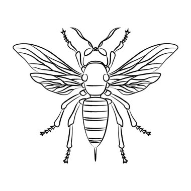 Fırça ile yazılmış böcek simgesi simgesi arısıName