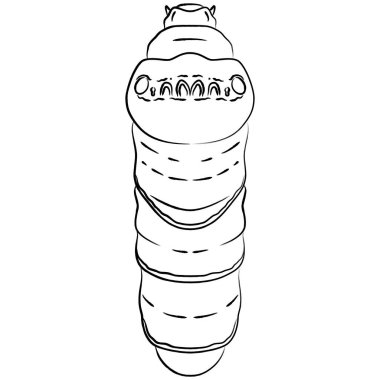 Fırça ile yazılmış böcek simgesi tek tırtıl