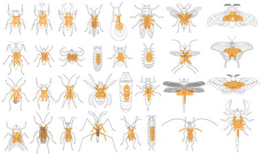 Bitki biçimi ana hatlı böcek simgesi seti