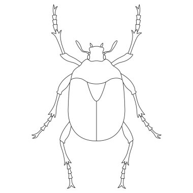 Satır çizimi Böcek tek öge simgesi Kanabun