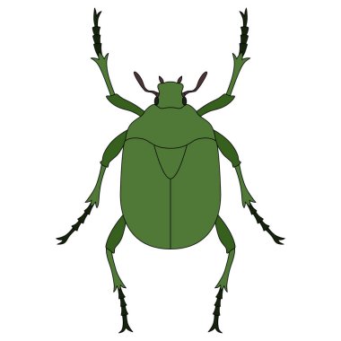 Renk Böceği tek öge simgesi Kanabun