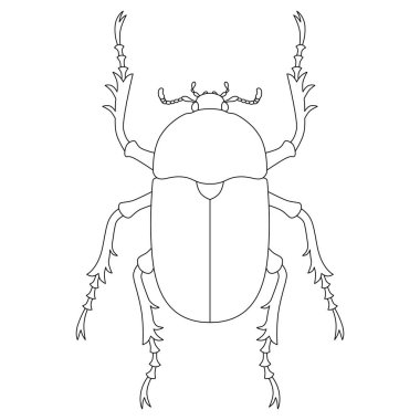 Satır çizimi Böcek tek öge simgesi dişi böcek