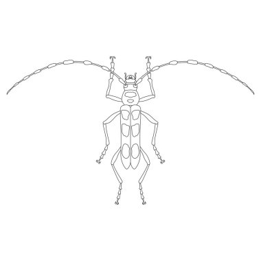 Satır çizimi Böcek tek öge simgesi Bluebird