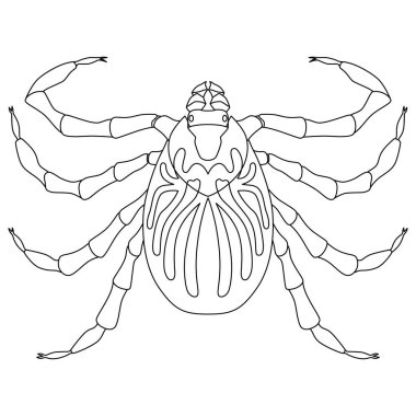 Satır çizimi Böcek tek öge simgesi maytı