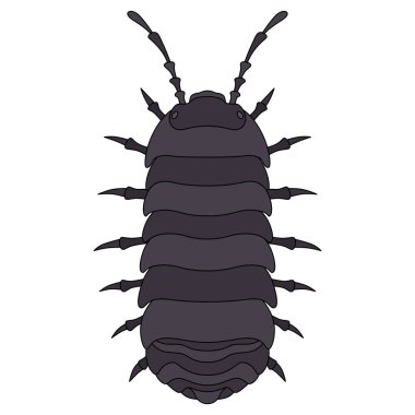 Renk Böceği tek öge simgesi hap böceği