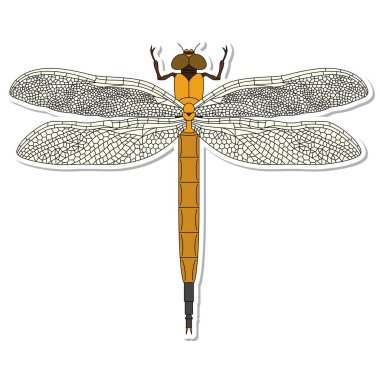 Etiket Böceği tek öge yusufçuk simgesi