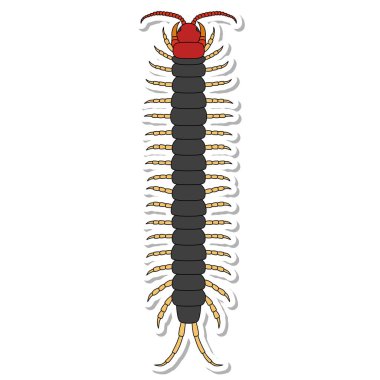 Sticker Insect single item icon centipede clipart