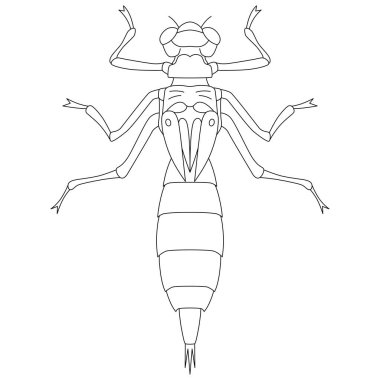 Satır çizimi Böcek tek öge simgesi Yago
