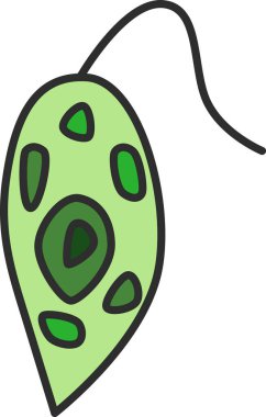 Renkli mikroorganizma tek öge simgesi Euglena