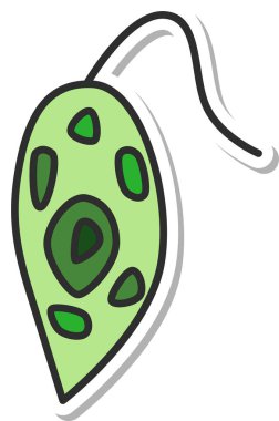 Etiketli mikroorganizma tek öge simgesi Euglena