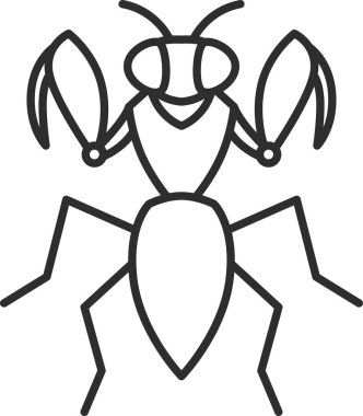 Tek küçük böcek ikonu Peygamber devesi