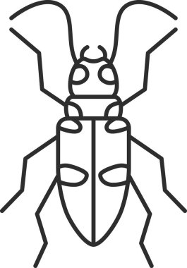 Mini böceğin tek simgesi: Lagomorph böceği