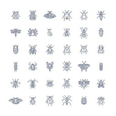 Mini insect icon set color shadow clipart