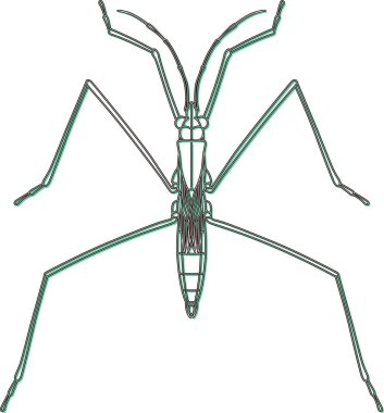 Renk gölge böceği tek öge simge su yürüyücüsü