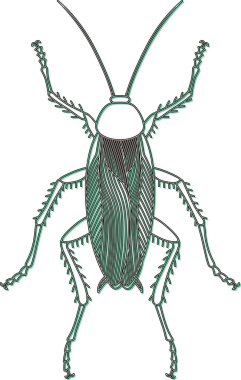 Renk Gölgesi Böceği tek öge simgesi hamamböceği