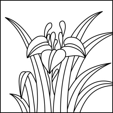 Hanafuda Gözü, Moriwa, Satsuki, May, Iris süprüntüleri.