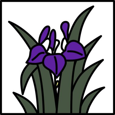 Renkli kare sade hanafuda iris, Moriwaka, Satsuki, May, süsen çiçeği.