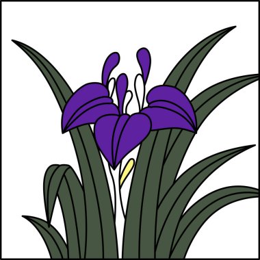 Renkli Hanafuda Gözü, Moriwaka, Satsuki, May, Iris süprüntüleri