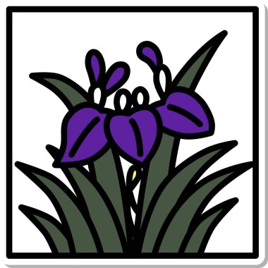 Etiket kare mini hanafuda iris, Moriwaka, Satsuki, May, Iris süprüntüleri.