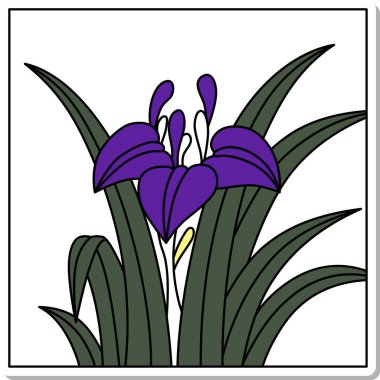 Etiketli Hanafuda Gözü, Moriwaka, Satsuki, May, Iris süprüntüleri.