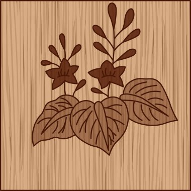 Ahşap oyma meydanı Hanafuda Aralık paulownia Aralık paulownia pislikleri