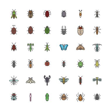 Renk mini böcek resimleme simgesi seti