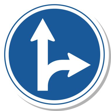 İşaretin tek bir gösterimi: Belirtilen yön dışında herhangi bir yönde ilerlemek yasaktır