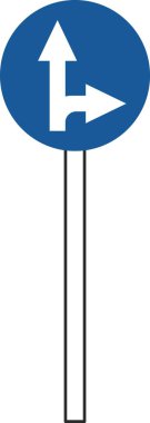 Basit bir işaretin sırıkla tek bir gösterimi: Belirtilen yön dışında herhangi bir yönde ilerlemek yasaktır
