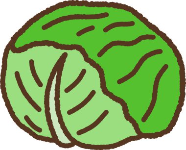 El çizimi tek resim Sebzeler Lahana