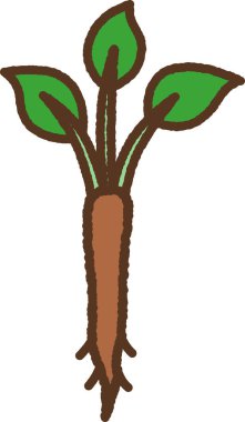 El çizimi tek resim Sebze Burcu