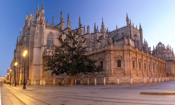 Kilátás Homlokzat Régi Középkori Katedrális Hajnalban Sevilla Spanyolország — Stock Fotó