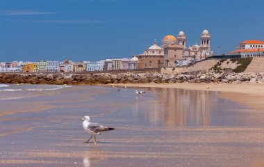 Güneşli bir günde Cadiz 'deki Cadiz' deki Kutsal Haç Katedrali 'nin inşa edilmesi. İspanya. Endülüs.