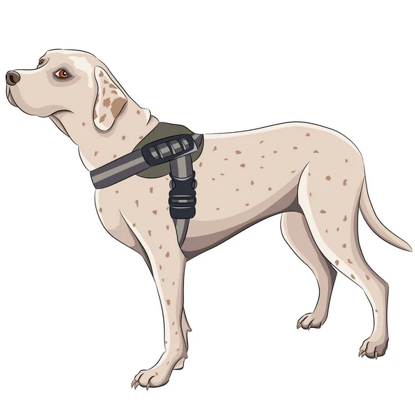 Dibujo Vectorial Perro Caza Collar Aislado Sobre Fondo Blanco — Archivo Imágenes Vectoriales