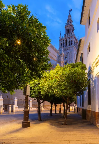 Landschappelijk Uitzicht Giralda Toren Van Kathedraal Vroege Ochtend Sevilla Spanje — Stockfoto