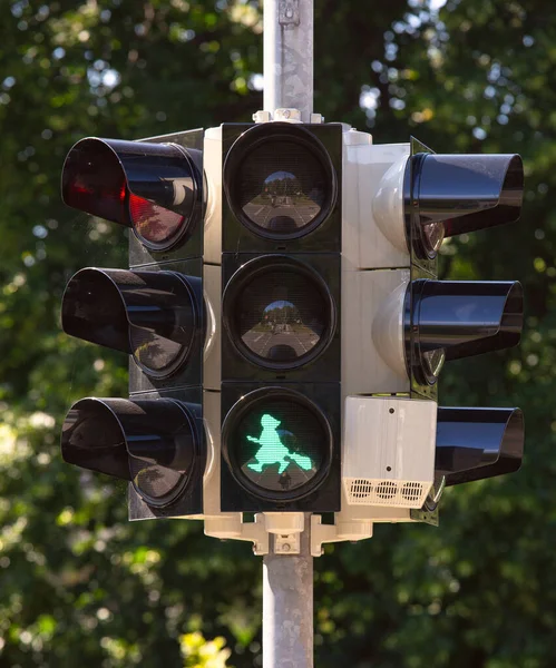 Смішне Зелене Зображення Відьми Мітлі Світлофорі Вернигороді Німеччина Саксонія Ангальт — стокове фото