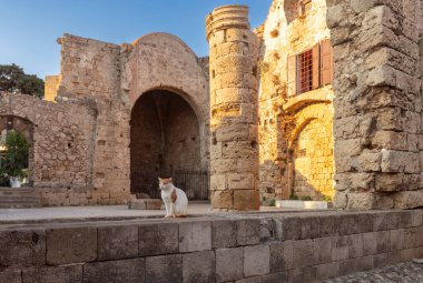 Şafak vakti eski ortaçağ taş şehir duvarının manzarası. Rodos. Yunanistan.