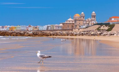 Güneşli bir günde kumlu sahil ve Atlantik Okyanusu manzarası. Cadiz. İspanya. Endülüs.