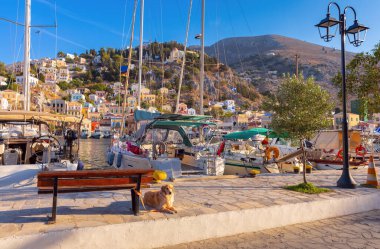 Güneşli bir günde, Symi balıkçı köyündeki renkli geleneksel evler ve balıkçı tekneleri manzarası. Yunanistan. Dodekanca.