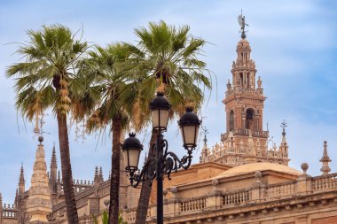 La Giralda çan kulesi ve Sevilla Katedrali 'nin yakın çekim görüntüsü Sevilla İspanya' da palmiye ağaçları ile
