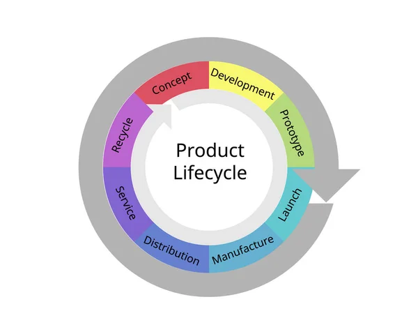 产品生命周期管理 Product Lifecycle Management 缩写Plm 是产品生命周期管理的过程 从设计 服务到最终退役 — 图库矢量图片