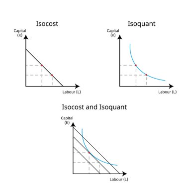 izoquant eğrisi belirli bir çıktı ve izocost üreten tüm faktörlerin kombinasyonlarını gösterir.