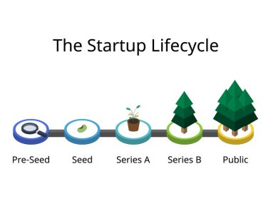 Başlangıçtaki yaşam döngüsü ön tohumlardan tohumlamaya, A serisi, B serisi, kamu pazarı