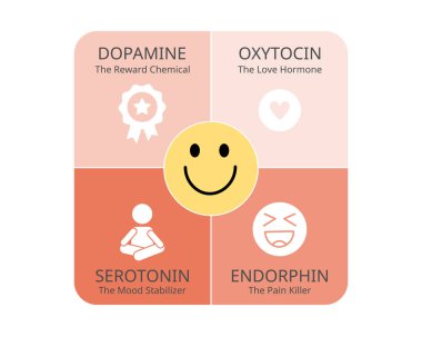 Serotonin, dopamin, oksitosin, endorfin zevk, mutluluk, aşk gibi pozitif duyguları teşvik eden mutluluk hormonlarıdır.