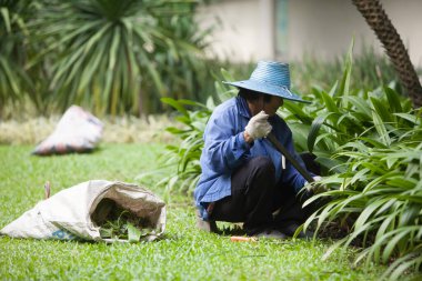 Bahçıvan çimlerde bitki kazıyor..