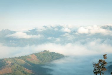 Manzara, güneşli bir tarlada şafak