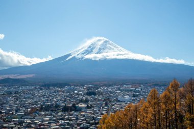 Japonya 'da sonbahar yaprakları Kawaguchiko' da renk değiştirir. Gölü ve Chureito Pagoda bölgesini çevreleyen parlak, güzel renkler. Burada fotoğraf çektirmek turistleri cezbediyor..