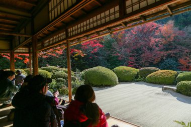 Kyoto, Japonya - 27 Kasım 2017: Sonbahar yeşillik mevsiminde güzel Shisendo tapınağı kum parkı turistlerin fotoğraf çekebileceği en sevdikleri yerdir..